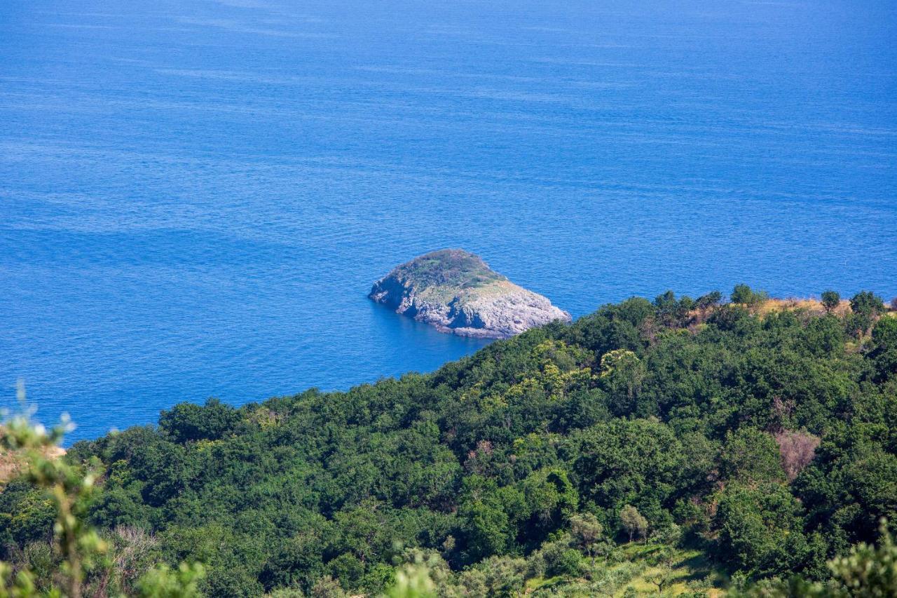 Villa Fedora Sea&Stars Масса-Лубренсе Екстер'єр фото