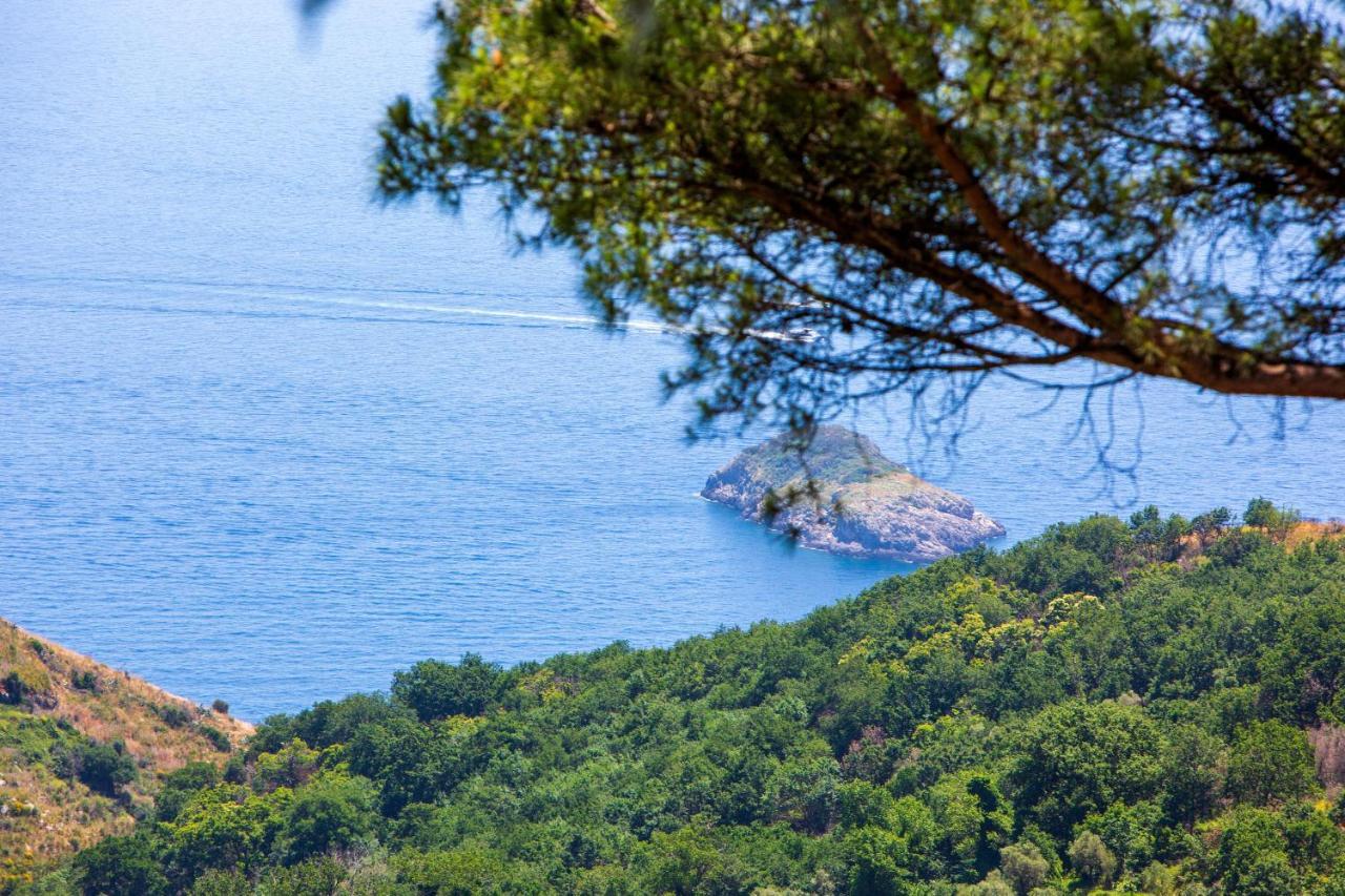 Villa Fedora Sea&Stars Масса-Лубренсе Екстер'єр фото