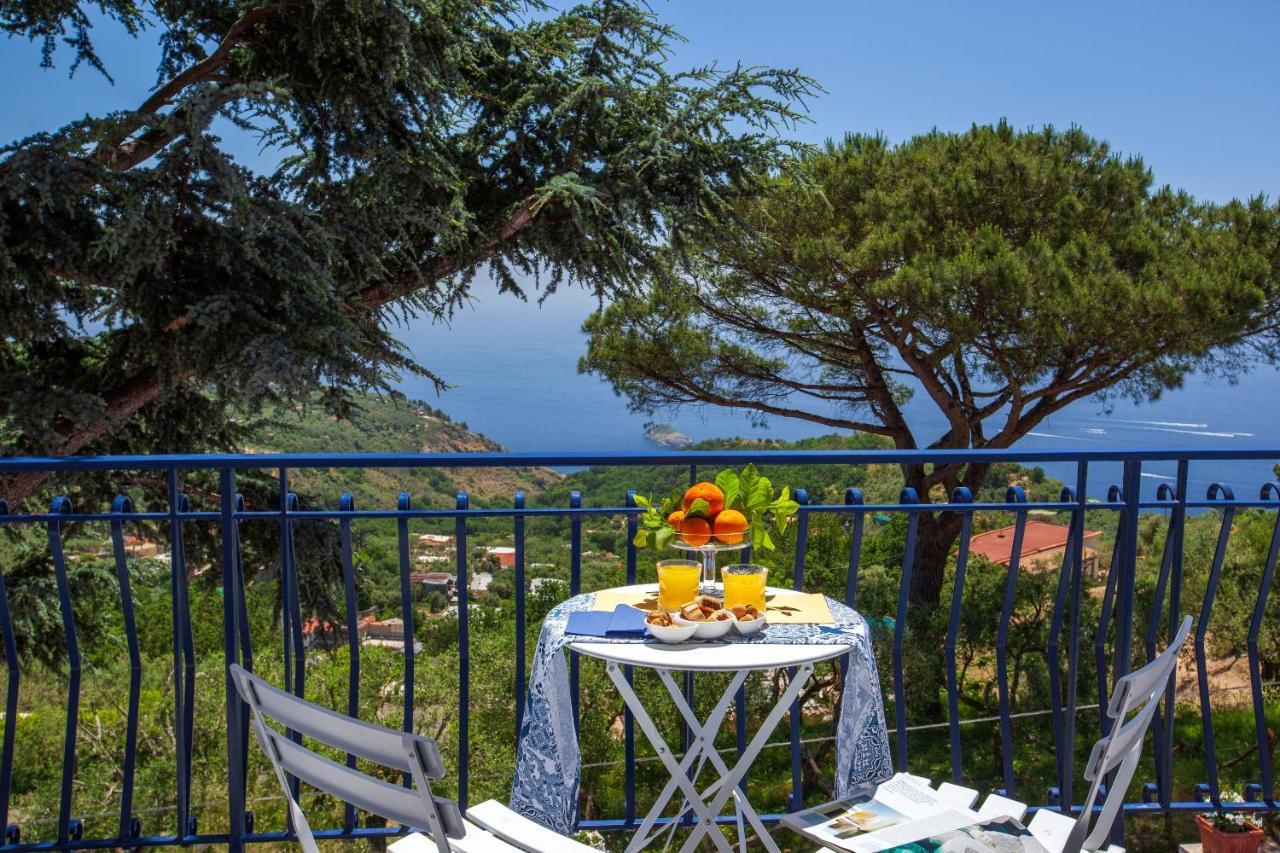 Villa Fedora Sea&Stars Масса-Лубренсе Екстер'єр фото